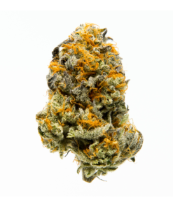 Divine Jelly HHC Flower Indoor 23% (NEW) UK