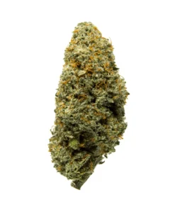 Grape Runtz HHC Flower Indoor 24% (NEW) UK