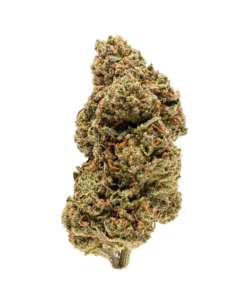 Apple Fritterz HHC Flower Indoor 23% UK