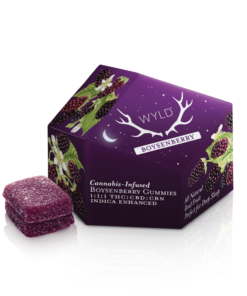 WYLD Boysenberry 1:1:1 CBD:CBN + Indica Enhanced Gummies | 100mg uk