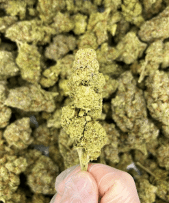 Buy London Pound Cake CBD Flower Indoor 24% uk