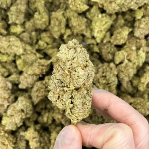 Mimosa CBD Flower Indoor 24% UK