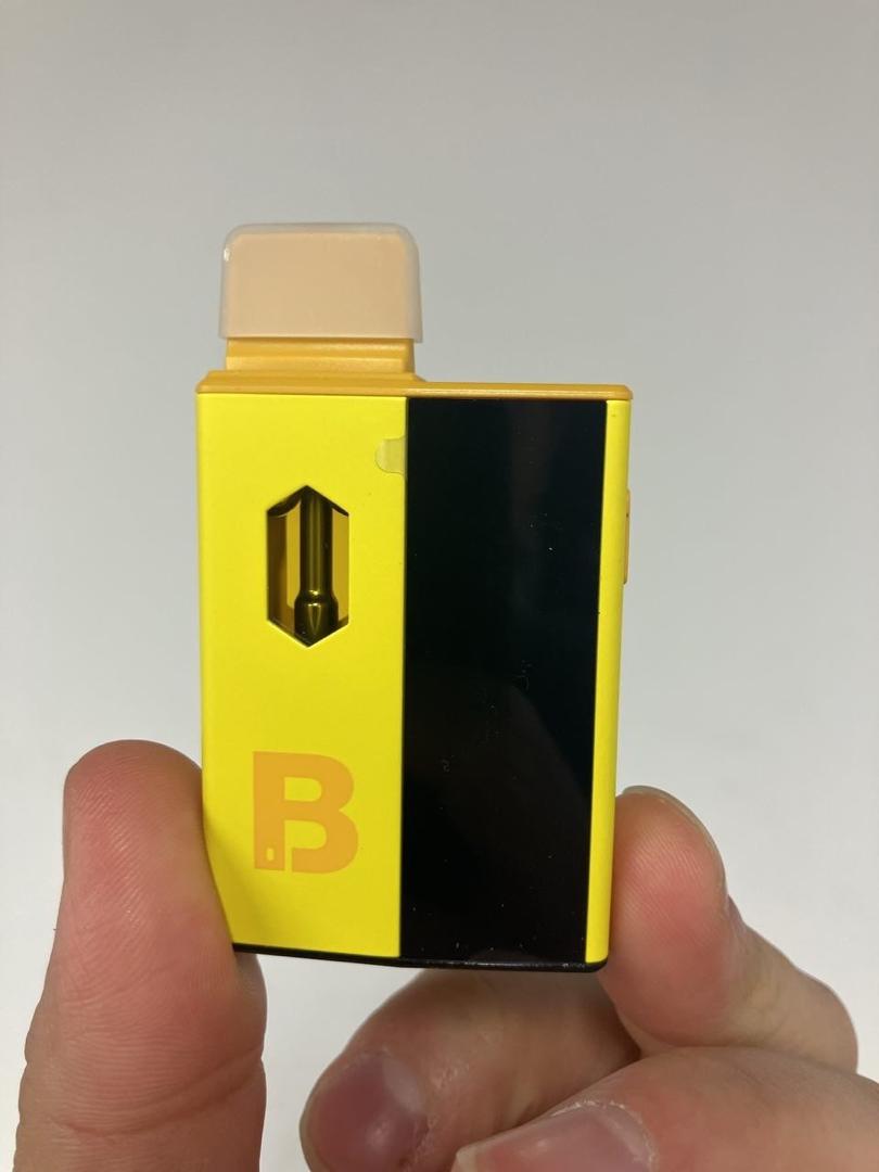 BLINKERS-2-GRAM-PREMIUM-ALL-IN-ONE-DEVICE1