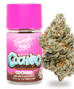 Jungle Boys | Cochino uk