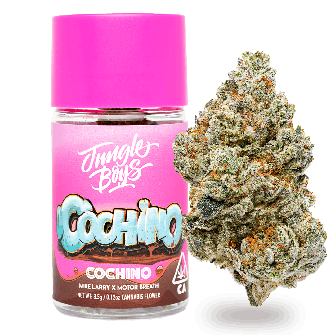 jungle-boys-cochino (1)