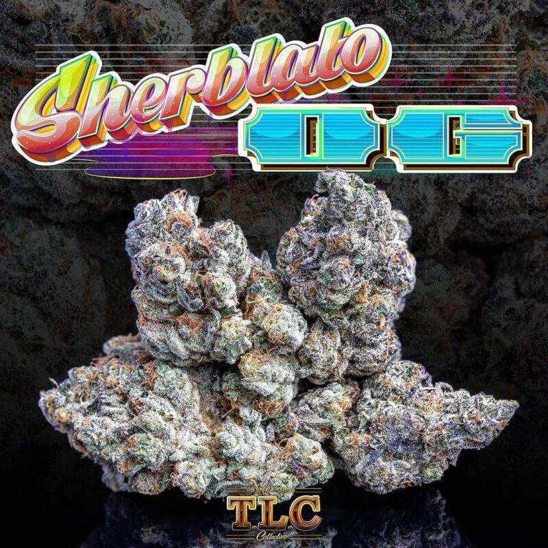 jungle-boys-sherblato-1