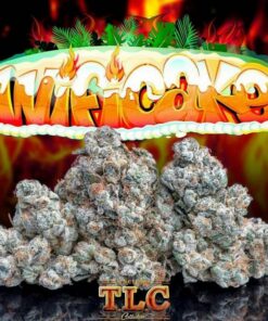 Jungle boys Wifi Cake – Cali Packs UK