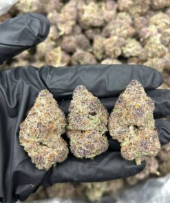 Buy Trop Cherry Sativa Strain UK