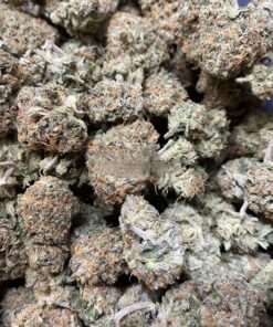 Buy Pinkman Goo Strain UK