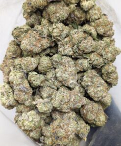 Buy Zkittlez Strain UK