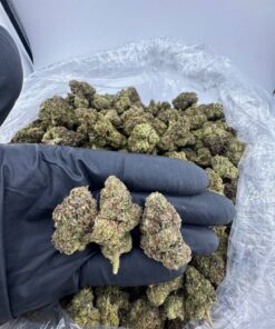Buy Strawberry’s & Jelly Strain UK