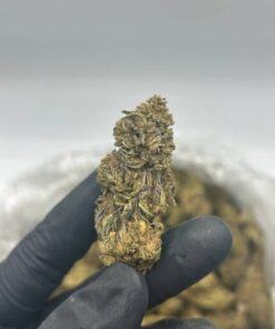 Buy Wedding Cake Strain uk