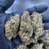 Buy SFV OG (San Fernando Valley OG) UK
