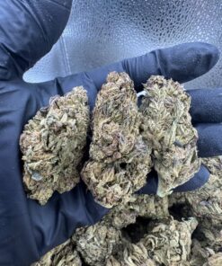 Buy SFV OG (San Fernando Valley OG) UK