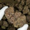 Buy Sirius Black – Exotic Purple Indica Strain UK