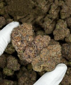 Buy Sirius Black – Exotic Purple Indica Strain UK