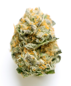 Buy Candy Floss UK