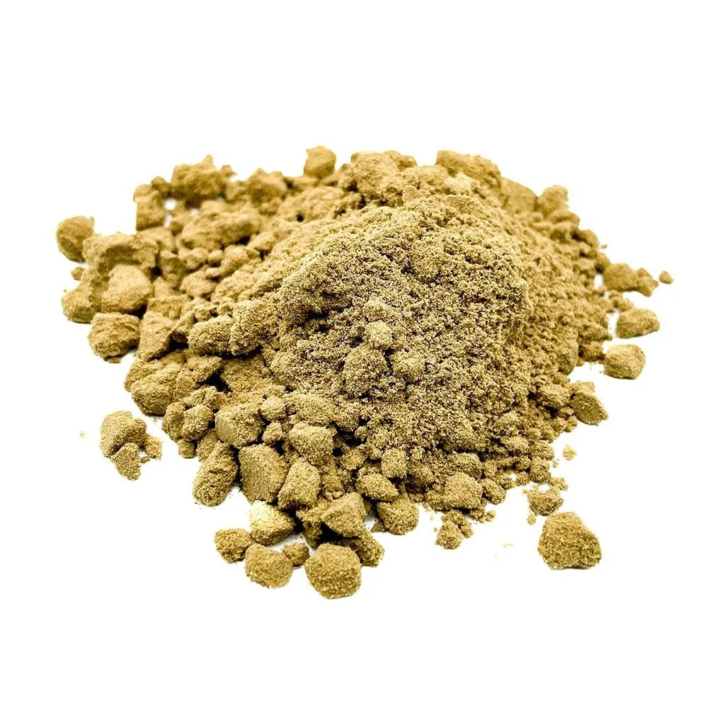 elli-hou-cbg-kief_0000_IMG_5012-2.jpg