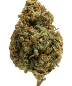 Buy Gelato x Zkittlez​ Strain UK
