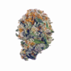 Buy Rainbow Belts By The Baydestrians – 7g UK