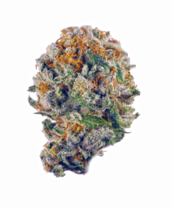 Buy Rainbow Belts By The Baydestrians – 7g UK